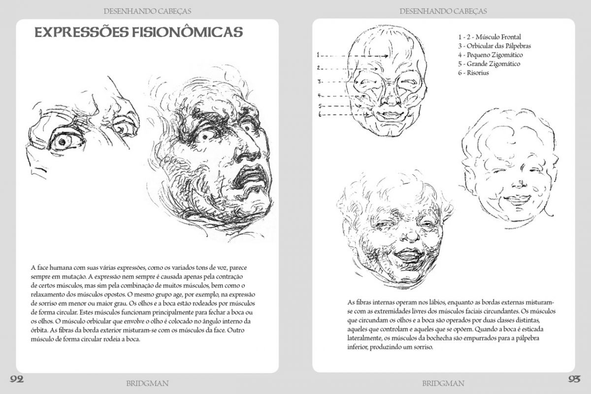 Cabeças Masculina - Feminina - Infantil - George B. Bridgman - Desenhando a Figura Humana Imagem 3